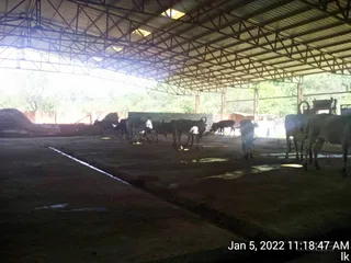 January 05 2022
