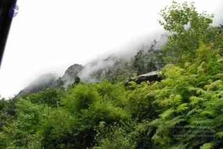 July 08 2008