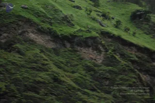 July 08 2008