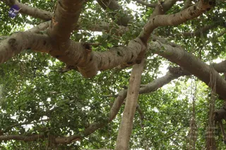 September 05 2009
