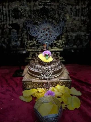 KAILASA HOUSTON, USA on 2/2/2022