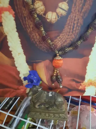 KAILASA-SAN-FERNANDO--TRINIDAD-&-TOBAGO-2021-01-26-1VaWyjRXSbuO32DpGPQGQkQCKJPNdzyjP.jpg