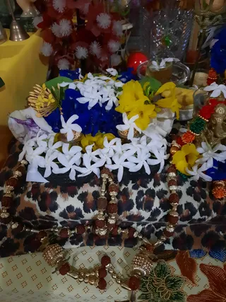 Photo 8289289