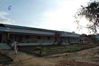 November 20 2008
