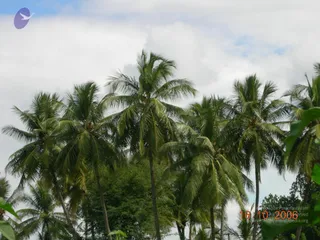 October 16 2006
