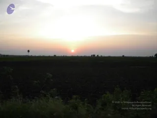 October 02 2009