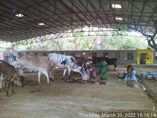 March 31 2022