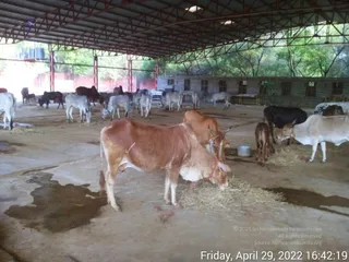 April 29 2022