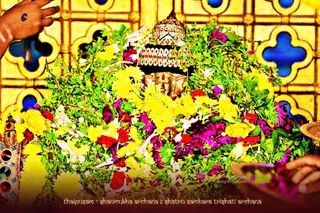 ADIKAILASA-2021-01-28-19wECd4Oz8szglSmfSjmiP fopy67O-yv.jpg