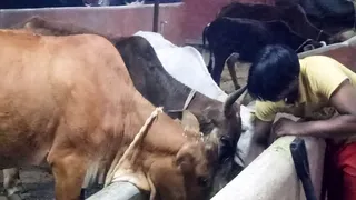 Jan 22 2022 sripuram