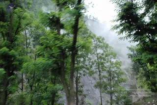 July 08 2008