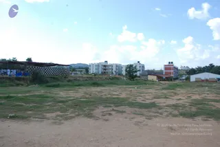 August 29 2009