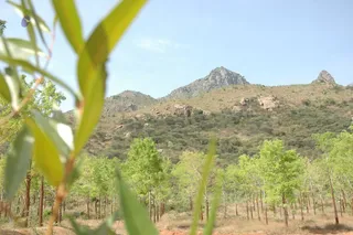 1978 - Tiruvannamalai - InnerGirivala