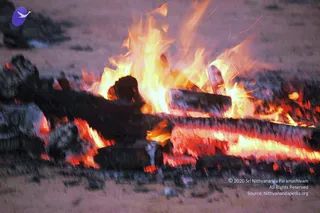 August 19 2006