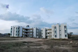 November 20 2008