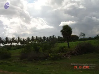 October 29 2006