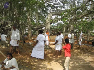 February 23 2008