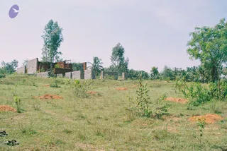 2002 - Glimpses From Various Programs