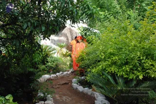 July 27 2008