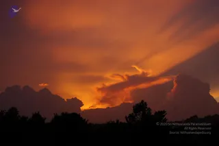 September 03 2006