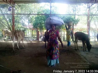 January 07 2022