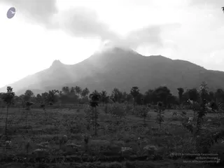 1978 - Tiruvannamalai