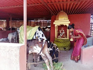 Jan 31 2022 sripuram