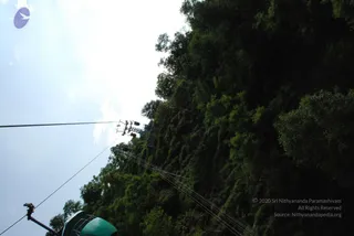 July 10 2008