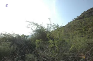 1978 - Tiruvannamalai - InnerGirivala