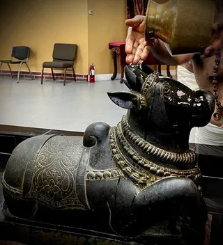 Photo 8289485