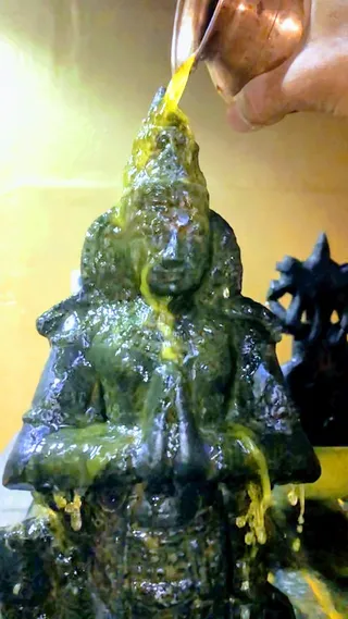 KAILASA SAN JOSE, USA on 5/1/2022