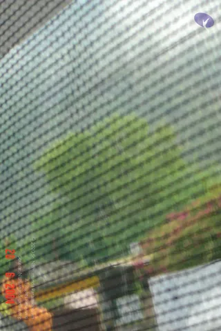 20040620 32 DSC04717 CMP WM.jpg