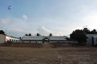 November 20 2008