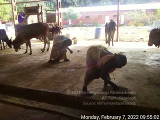 February 07 2022