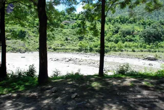 July 01 2008