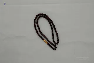 2008 - Nithyananda Galleria