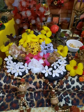 Photo 8289652