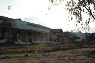 November 20 2008