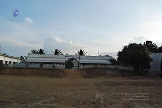 November 20 2008