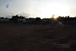 November 20 2008