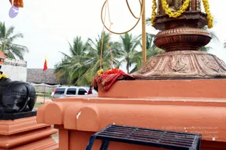 November 06 2010