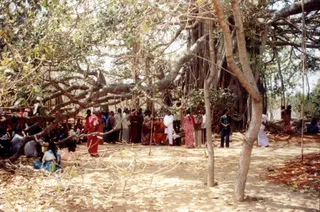 2003 -Glimpses From Various Programs