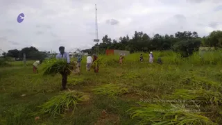 October 01 2021