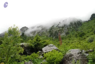 July 08 2008
