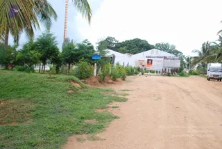 September 07 2009