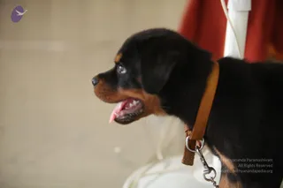 April 23 2013