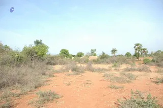 1978 - Tiruvannamalai - InnerGirivala