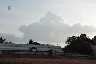 November 20 2008