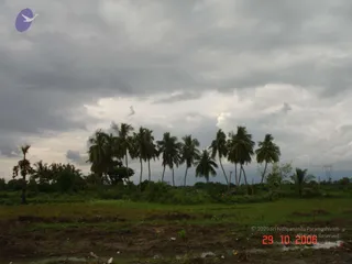 October 29 2006