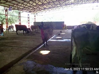 January 06 2022